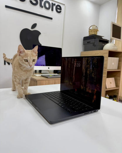 MacBook Pro 14" 2024 M4 Max 64/1T 40C GPU